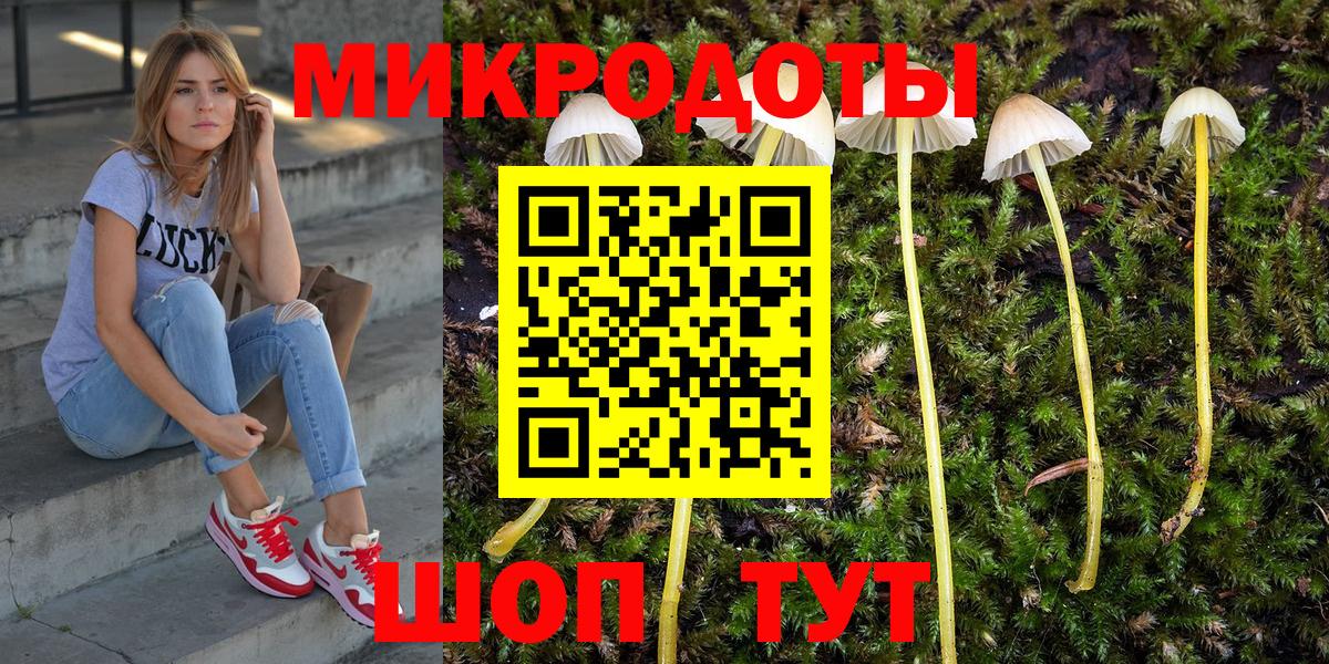 Псилоцибиновые грибы прущие грибы Кызыл