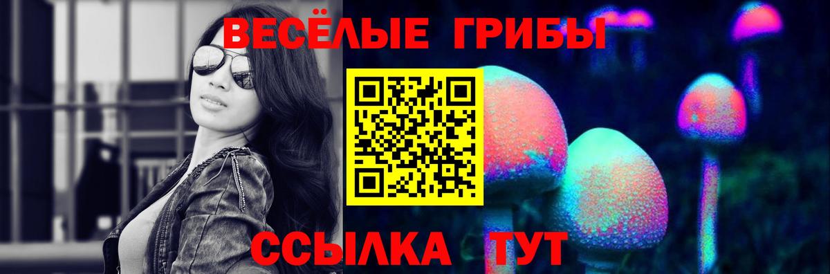 Псилоцибиновые грибы Psilocybine cubensis  Вход с VPN  Кызыл 